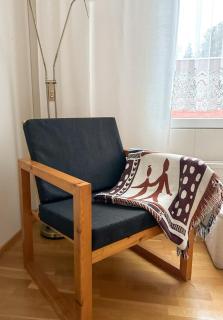 House in Finnish Lapland - 3