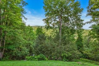 Mountain Laurel Lodge - 7