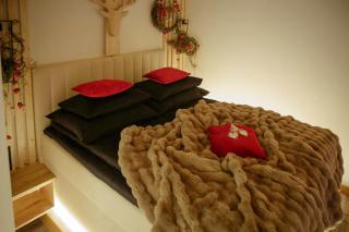 Wiślański Renifer - 7