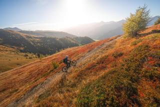 Ferienwohnung Eggerhof-Schaller - 2