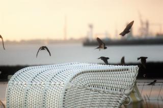 Ferienhaus Olenbrook - 3