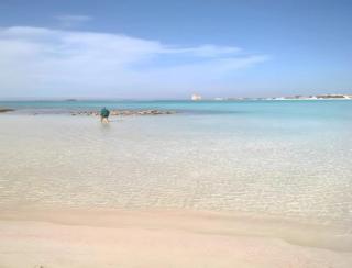 Elenya Garden Retreat - 8