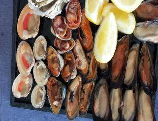 Elenya Garden Retreat - 5