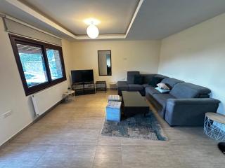 ANTHEMIs COTTAGE RED - 4