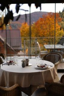 Ведмежа гора Panorama Spa Resort - 1