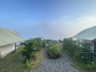 Camping phutajoy Khaosok แคมป์ปิ้งภูตาจ้อยเขาศก - 2