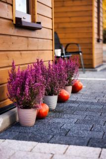 Radkowskie Apartamenty Julia z widokiem na zalew i gory - 2