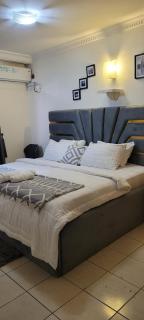 Luxury 3 Bedroom Apartment Victoria Island - 0