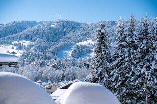 Flat Simba - Megève - Mont d'Arbois - 3