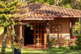 El Paraíso Tropical - 7