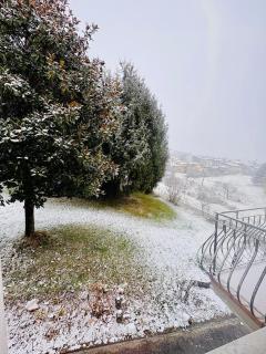 Villa Magnolia Oliveti - 5