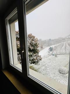 Villa Magnolia Oliveti - 7