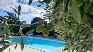 Mas De Bouvau - Violès - 1