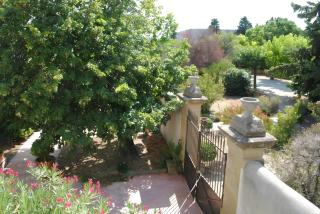 Mas De Bouvau - Violès - 6