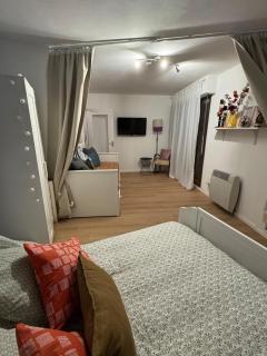 Charming apartment in the heart of Colmar - 6