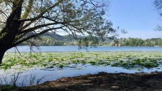 Villa Il Cortivo 81 - Rooms - 7