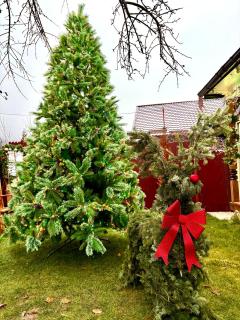 Barlogul Ursilor Ciubar&BBQ - 8