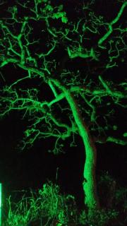 Chacara Recanto Feliz - 6