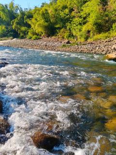 Rickson Riverside Campsite - 5