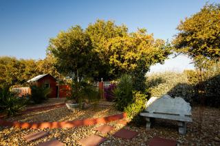 Mokoro Lodge - Maun - 7