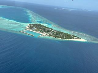 Himandhoo sweet dreams - 1