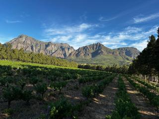 Genadendaal Vineyard Villa - 3