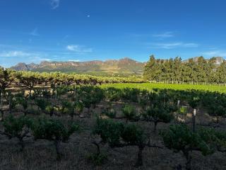 Genadendaal Vineyard Villa - 2