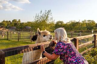 Hidden Aces-Deluxe Double Room - 3