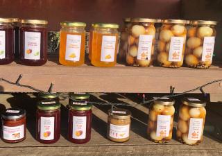 Home Thyme Holding - 3