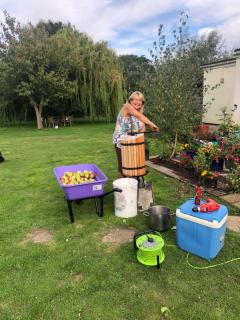 Home Thyme Holding - 4