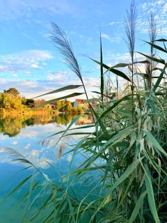 Seehaus 22- Lake house with private beach - 6