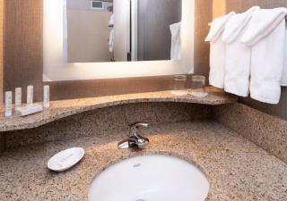SpringHill Suites by Marriott Pittsburgh North Shore - 9