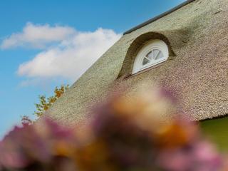 Ferienhaus Deich Huus - Kappeln - 3