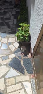 Apartman Villy 2 - 0