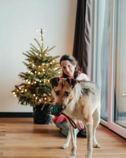 Moje Miejsce Polanica-Zdrój - 9