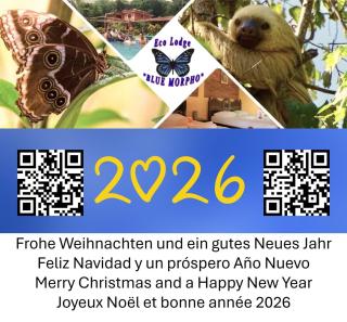 Ecolodge Blue Morpho - 0