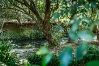 Evermoore Homestead - 7