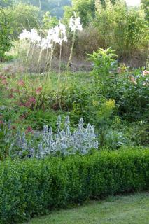 Le gîte des Fontaines au cœur de la Bourgogne - 6