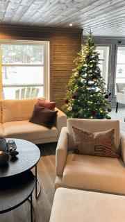 Modern Cabin By Hardangervidda - 4