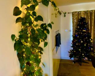 Elkstone House, Hot tub Luxury, Comfortable Home - 6