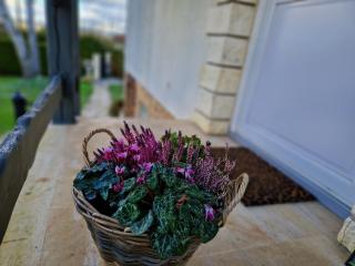 Le Poulain maison cosy à la campagne - 5