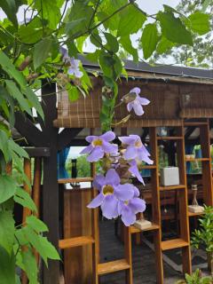 Witzob Glamping Adventures - 9