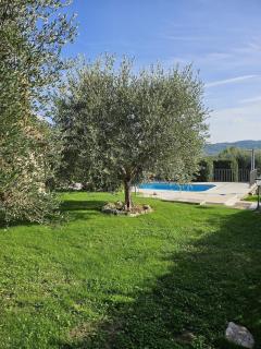 Il Casale del Conte - 3