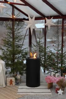 Baltās anemones - 6