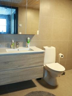 Trysil turistesenter liten leilighet - 1