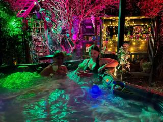 The Stable Annexe with hot tub & horses - 3