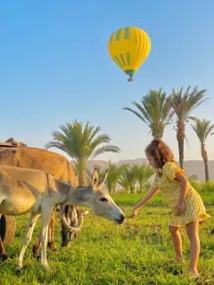 Golden Rose Guesthouse - 9