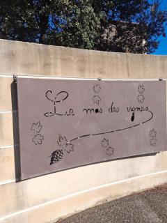 Le chant des cigales - 7