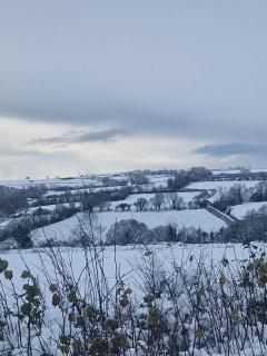 Cartws at Pentrecelyn - styilish barn conversion with large kitchen and outdoor space - 7