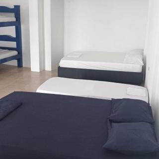 Cabaña Palma Azul - 3